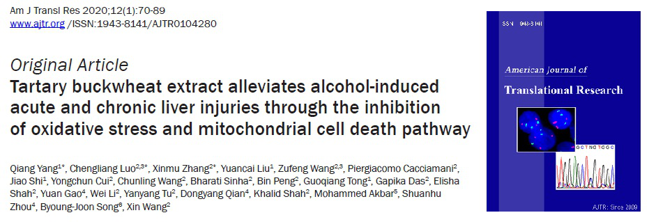 中文字幕无码人妻少妇免费视频