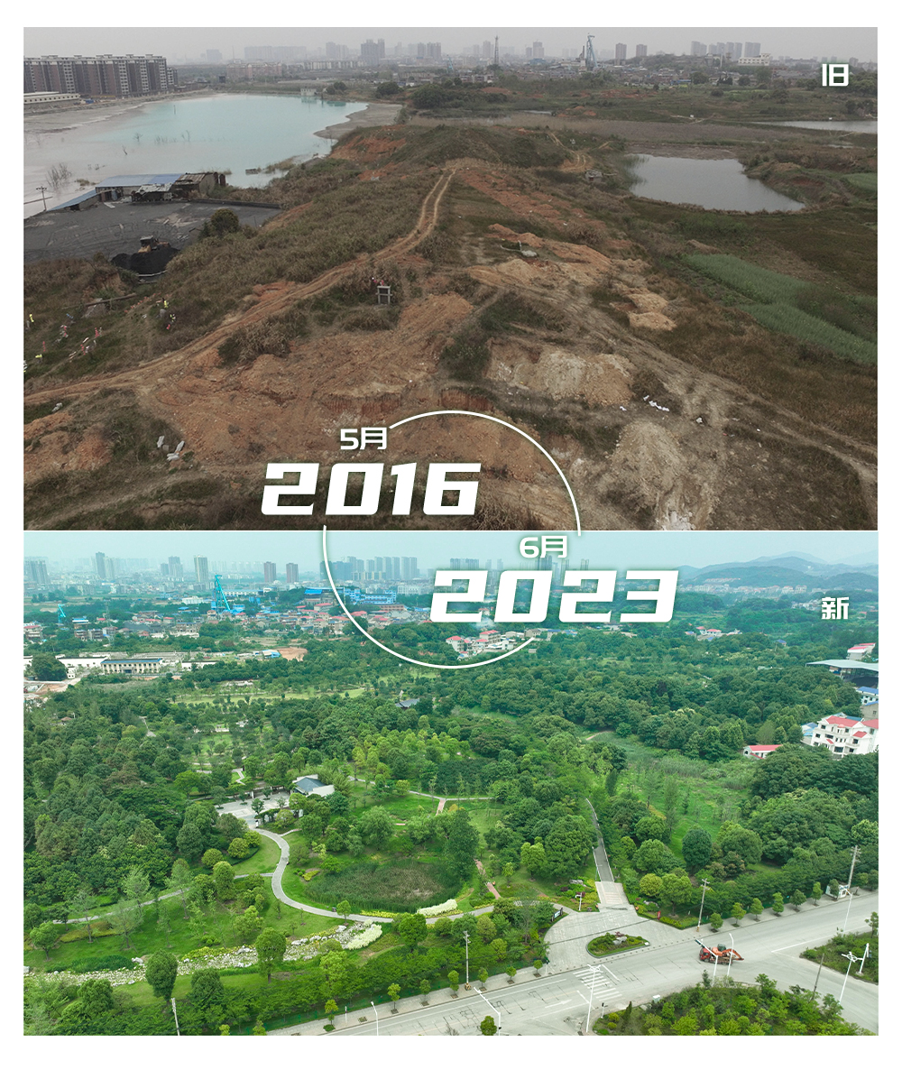 中文字幕无码人妻少妇免费视频